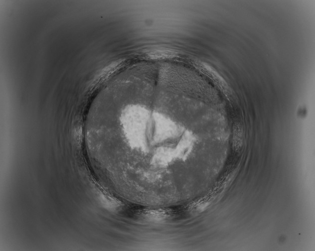 X0000099930405200806201101