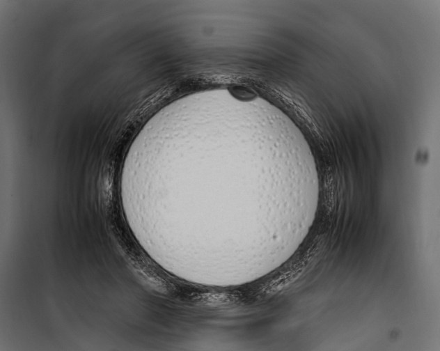 X0000099930406200806201101