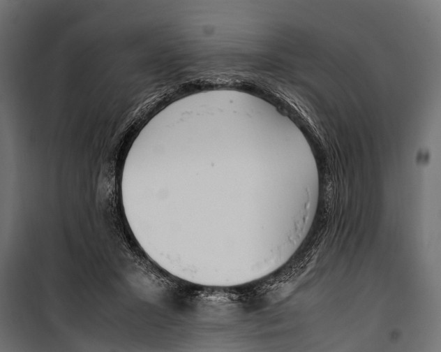 X0000099930407200806201101