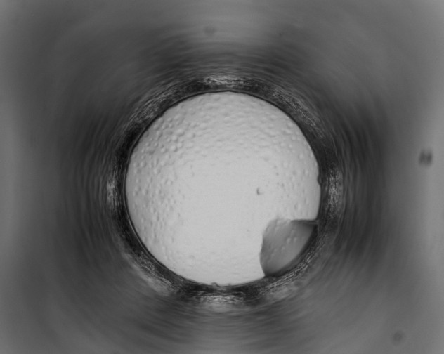 X0000099930408200806201101