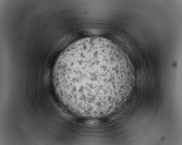 X0000099930410200806201101