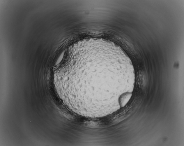 X0000099930412200806201101