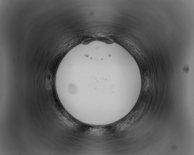 X0000099930414200806201101