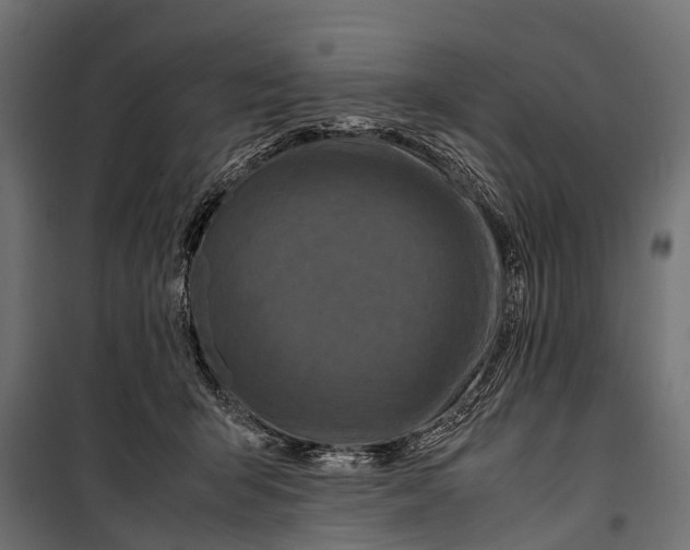 X0000099930415200806201101