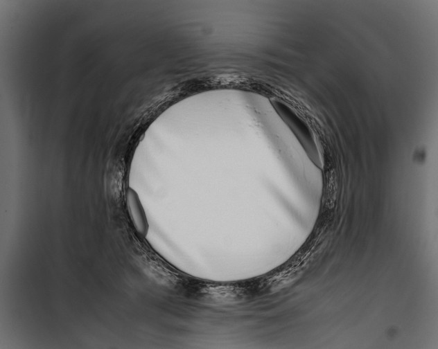 X0000099930417200806201101