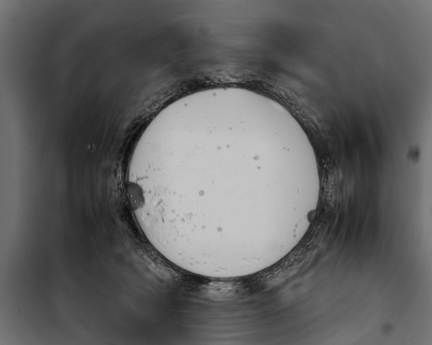 X0000099930418200806201101