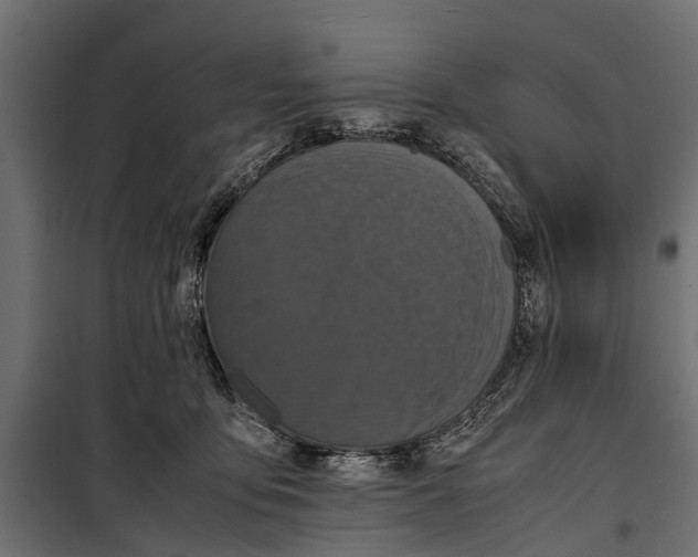 X0000099930419200806201101