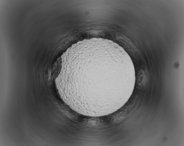 X0000099930420200806201101