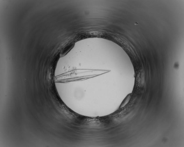 X0000099930424200806201101