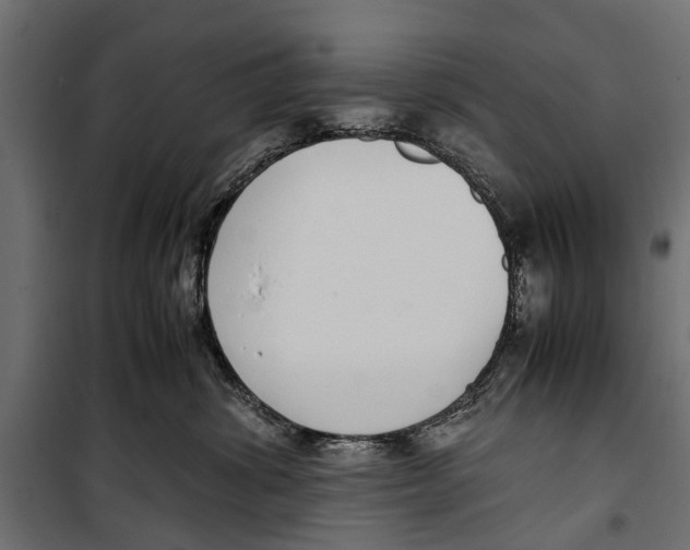 X0000099930428200806201101