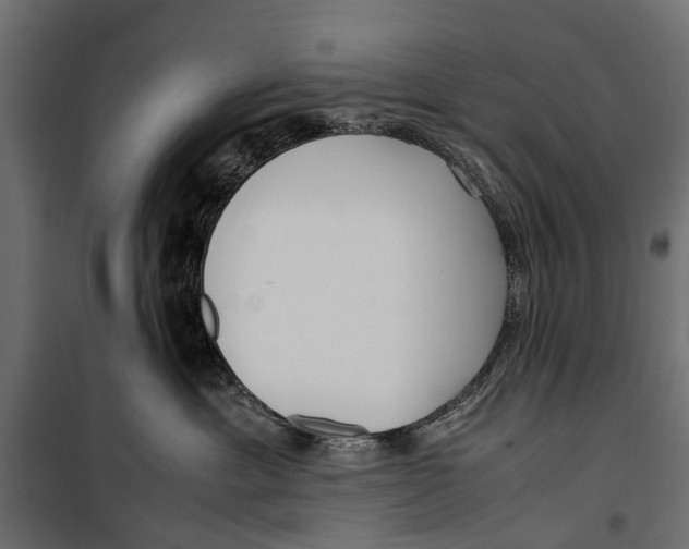 X0000099930429200806201101