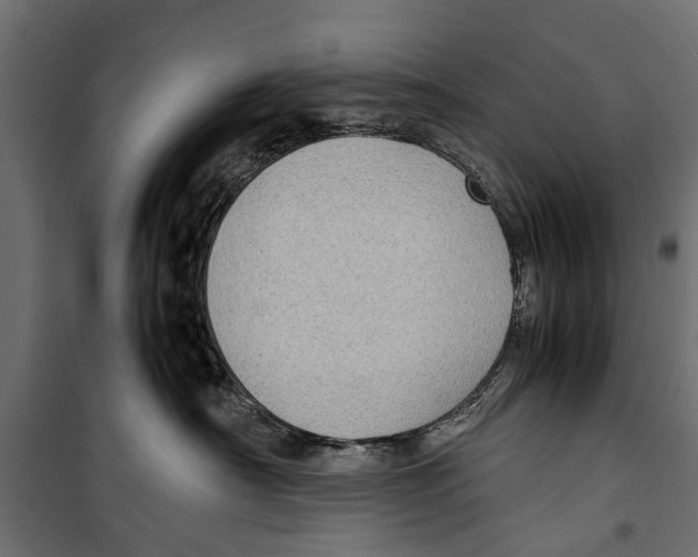 X0000099930430200806201101