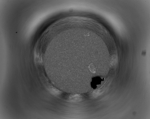 X0000099930431200806201101