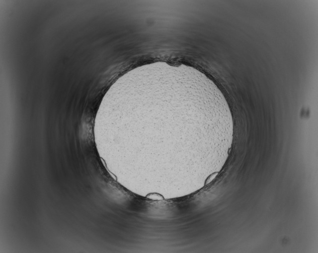 X0000099930432200806201101