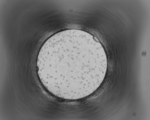 X0000099930433200806201100