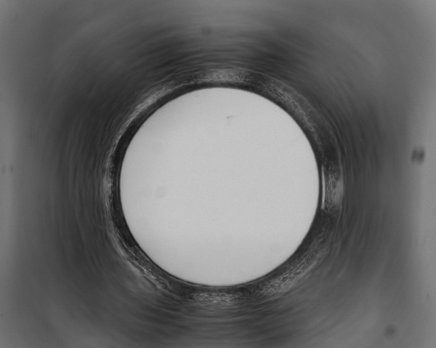 X0000099930435200806201100