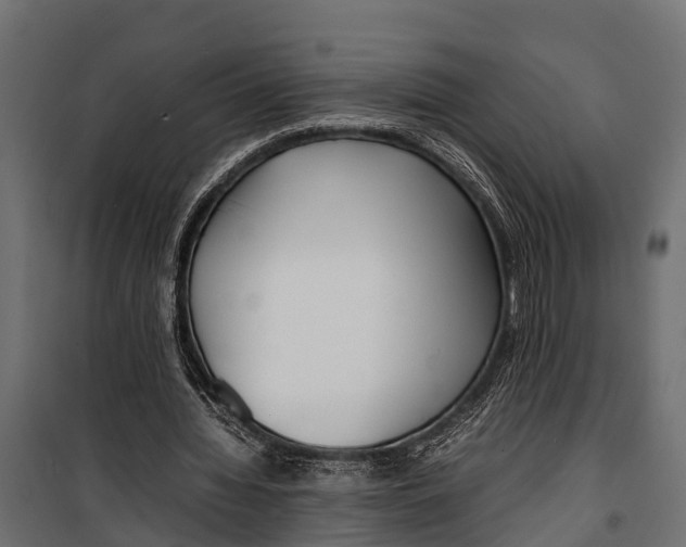 X0000099930436200806201100