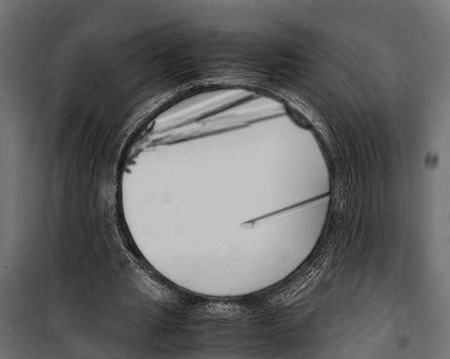 X0000099930437200806201100