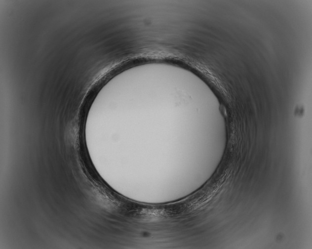 X0000099930440200806201100