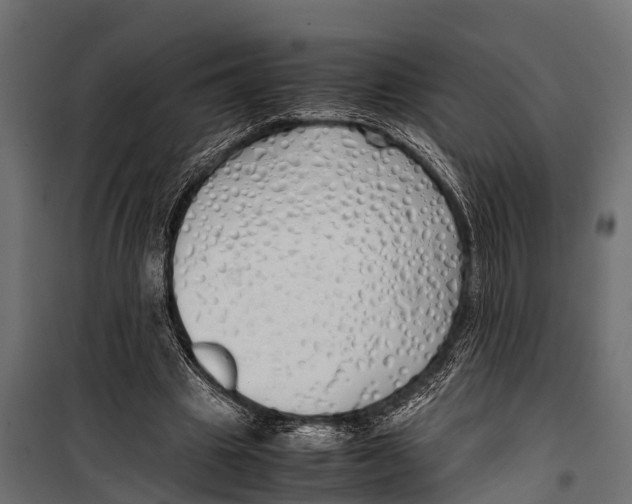 X0000099930441200806201100