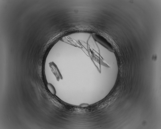 X0000099930442200806201100