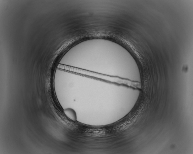 X0000099930443200806201100