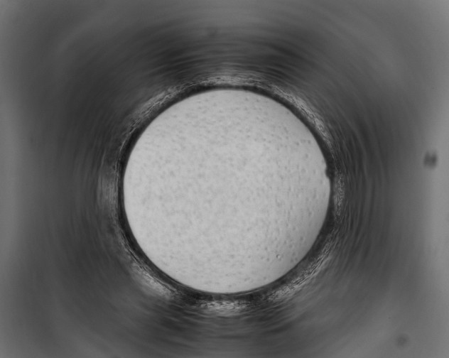 X0000099930445200806201100