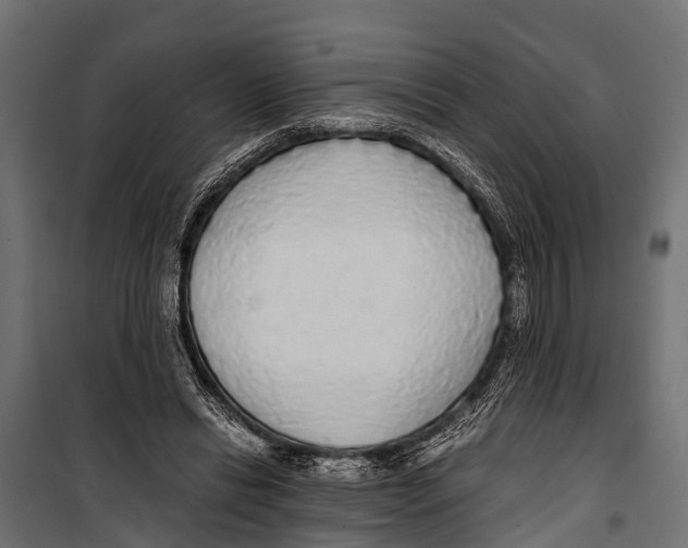 X0000099930446200806201100