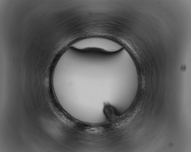 X0000099930447200806201100