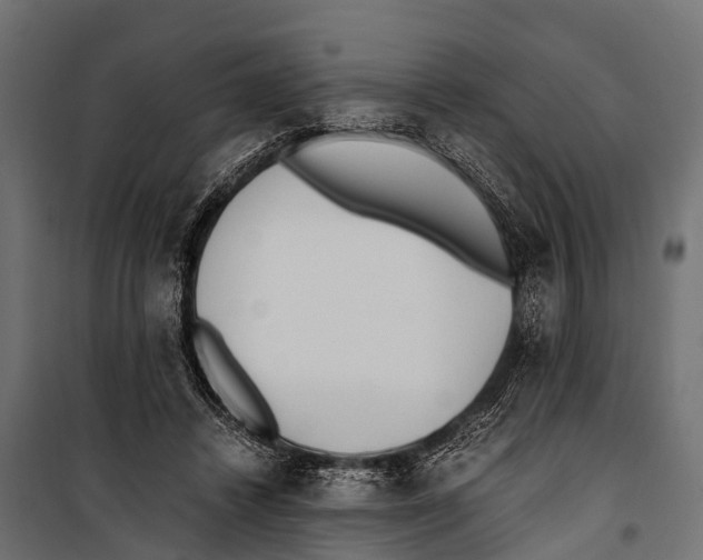 X0000099930448200806201100