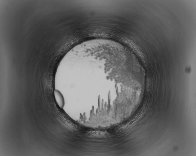 X0000099930449200806201100