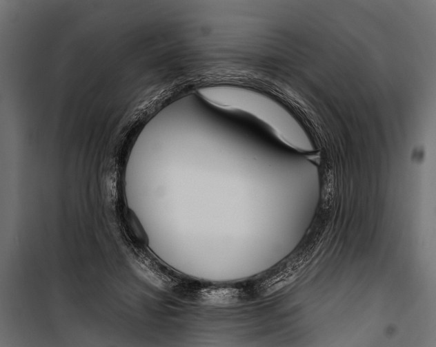 X0000099930452200806201100