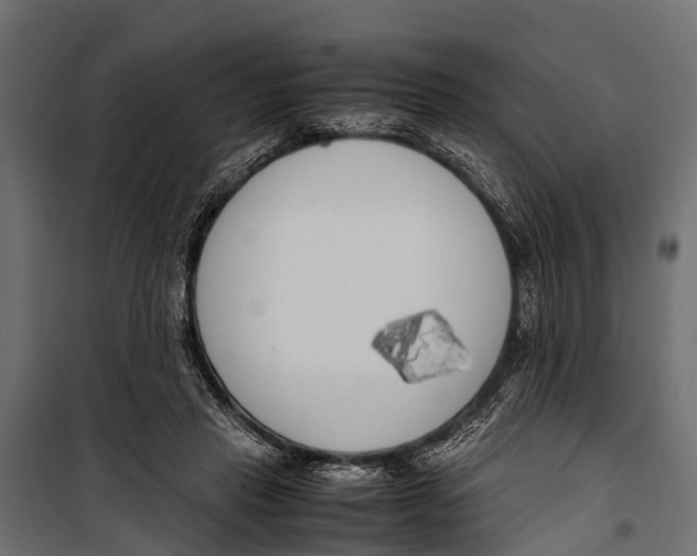 X0000099930453200806201100