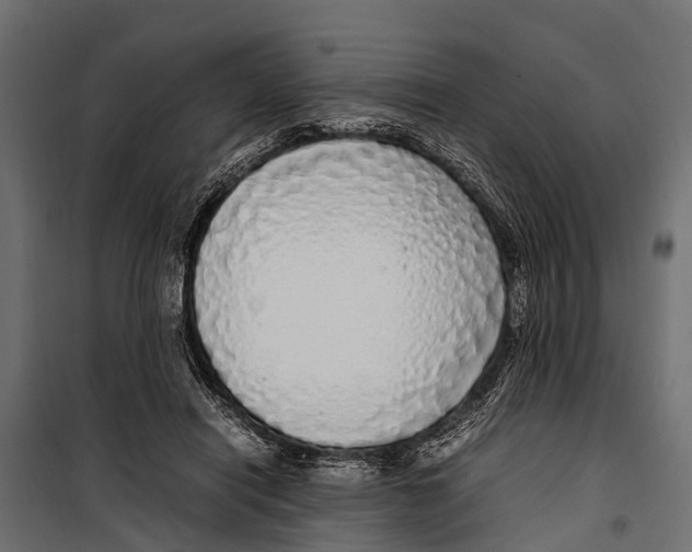 X0000099930454200806201101