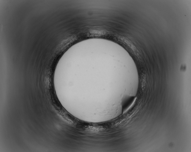 X0000099930455200806201101