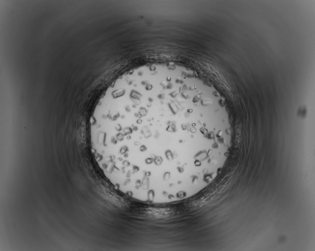 X0000099930457200806201101