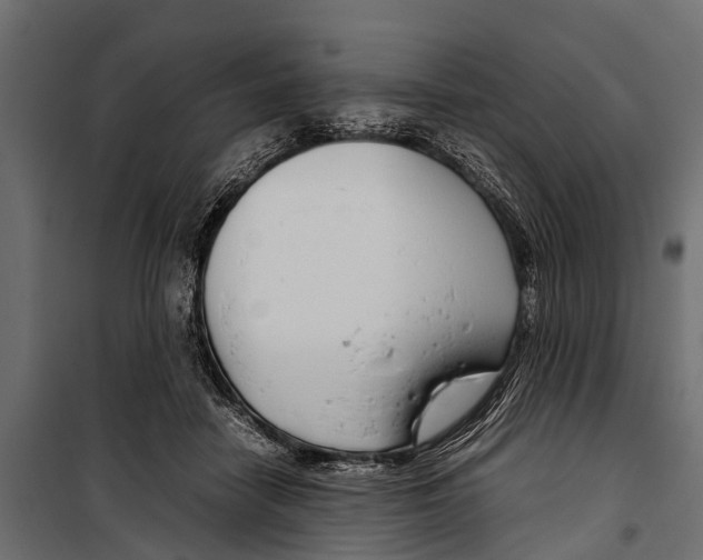 X0000099930458200806201101