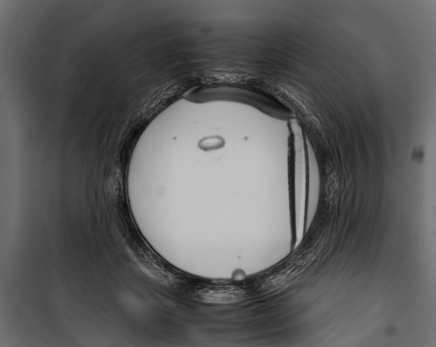 X0000099930459200806201101