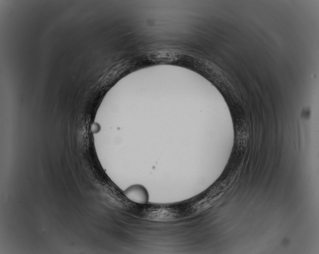 X0000099930460200806201101