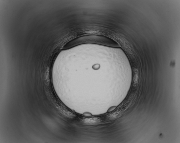 X0000099930461200806201101