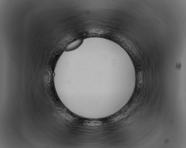 X0000099930463200806201101