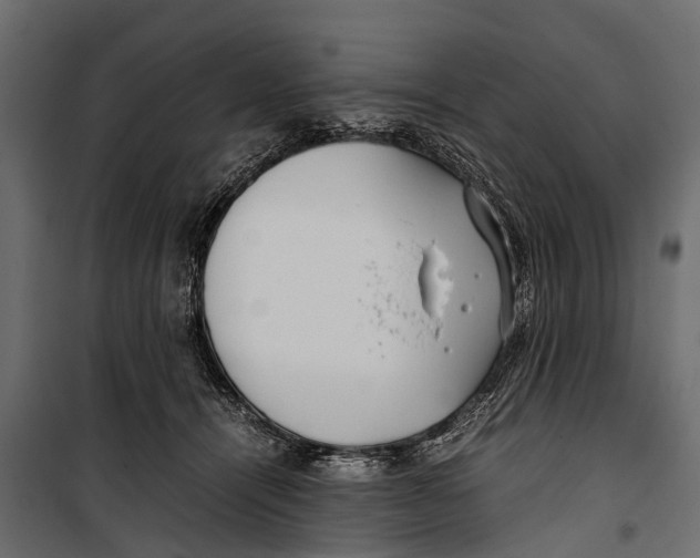 X0000099930464200806201101