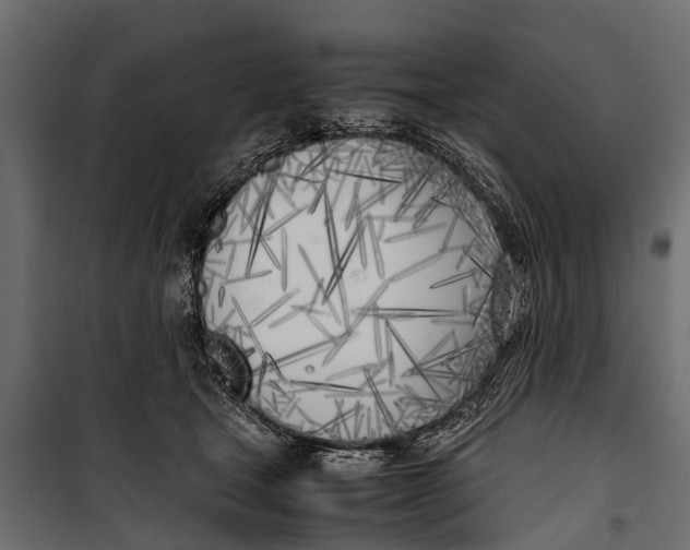 X0000099930465200806201101