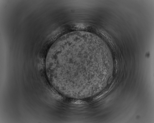 X0000099930467200806201101