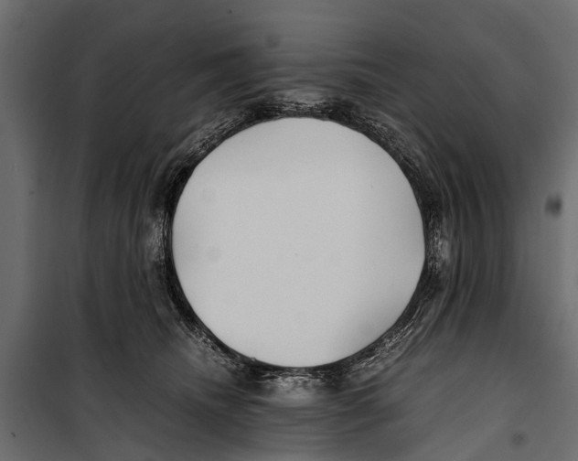 X0000099930468200806201101