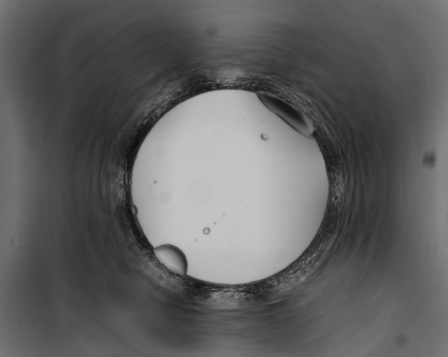 X0000099930470200806201101