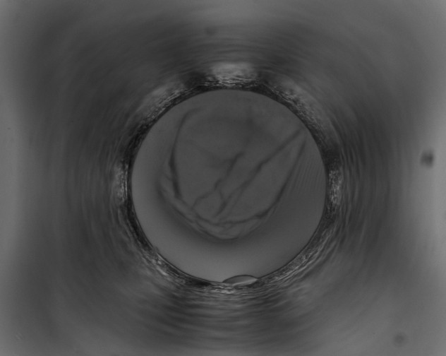 X0000099930471200806201101