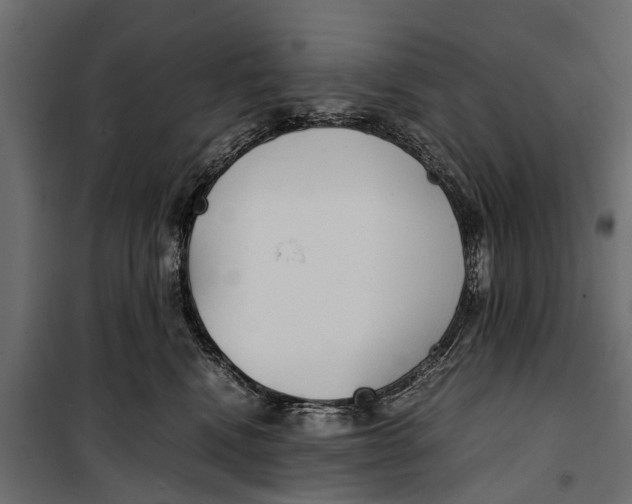 X0000099930472200806201101