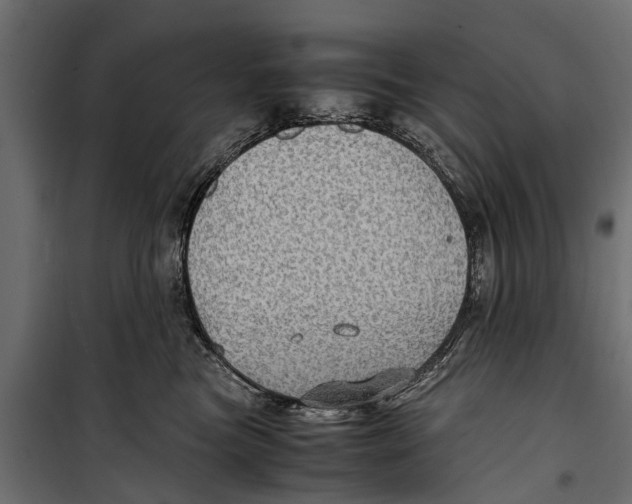 X0000099930473200806201101