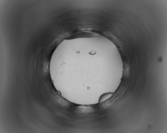 X0000099930477200806201101